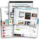 Tips voor het selecteren van Wordpress Themes voor een professionele vormgeving van jouw blog